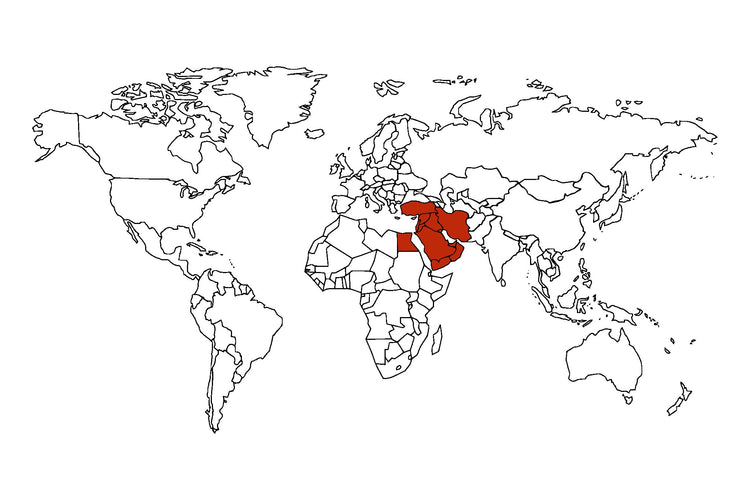 Middle East Spices