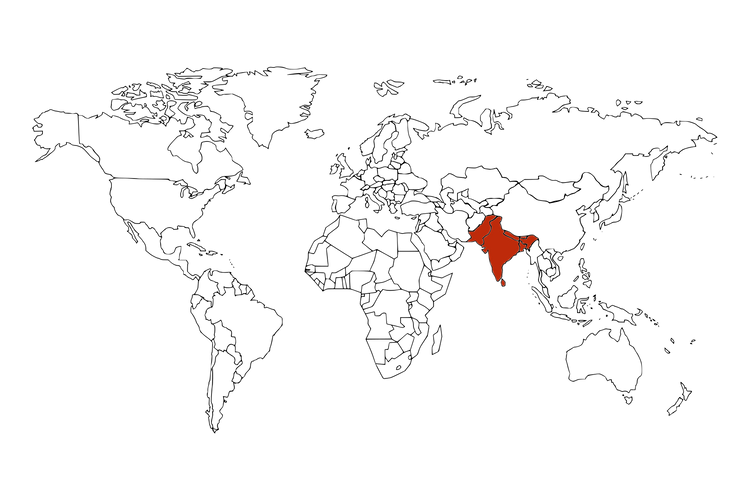 South Asian Spices