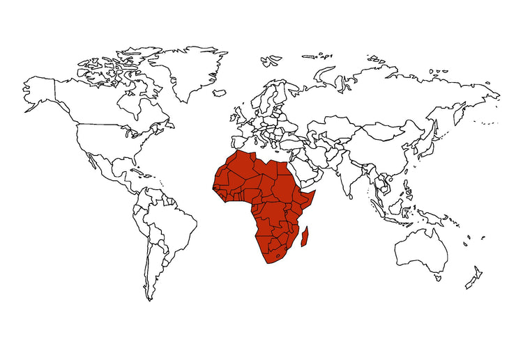 African Spices